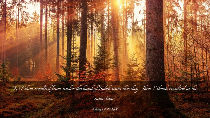 Picture 03 - 2 Kings 8:22 KJV Desktop Wallpaper - Yet Edom revolted from under the hand of Judah - Desktop Bible Verse Wallpaper