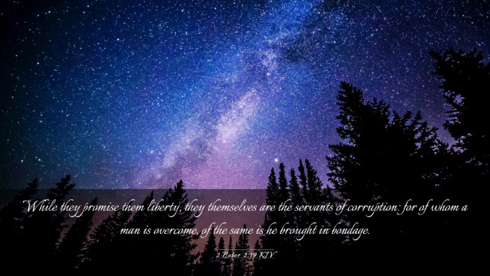 Picture 03 - 2 Peter 2:19 KJV Desktop Wallpaper - While they promise them liberty, they themselves - Desktop Bible Verse Wallpaper