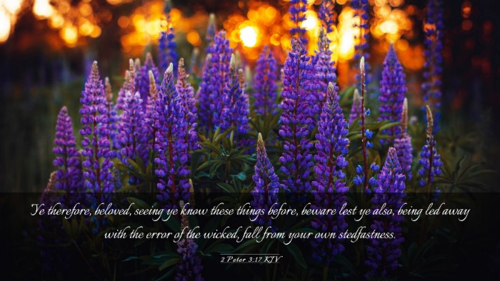 Picture 03 - 2 Peter 3:17 KJV Desktop Wallpaper - Ye therefore, beloved, seeing ye know these - Desktop Bible Verse Wallpaper