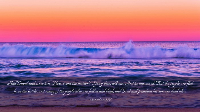 Picture 03 - 2 Samuel 1:4 KJV Desktop Wallpaper - And David said unto him, How went the matter? I - Desktop Bible Verse Wallpaper