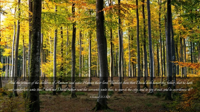 Picture 03 - 2 Samuel 10:3 KJV Desktop Wallpaper - And the princes of the children of Ammon said - Desktop Bible Verse Wallpaper