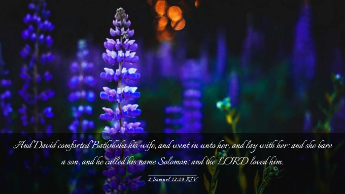 Picture 03 - 2 Samuel 12:24 KJV Desktop Wallpaper - And David comforted Bathsheba his wife, and went - Desktop Bible Verse Wallpaper