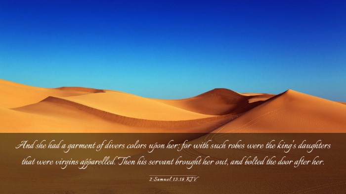 Picture 03 - 2 Samuel 13:18 KJV Desktop Wallpaper - And she had a garment of divers colors upon her: - Desktop Bible Verse Wallpaper