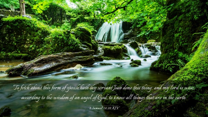Picture 03 - 2 Samuel 14:20 KJV Desktop Wallpaper - To fetch about this form of speech hath thy - Desktop Bible Verse Wallpaper