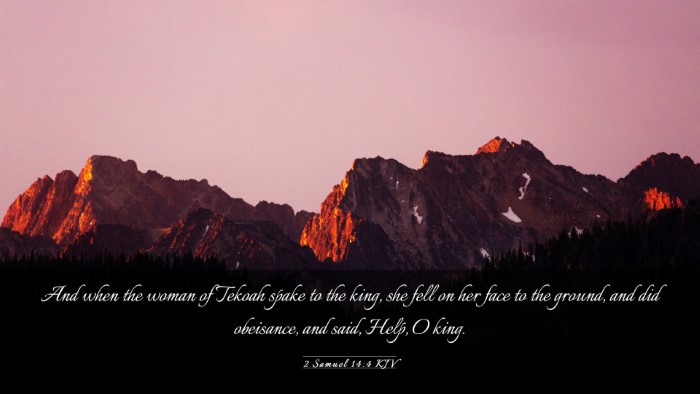 Picture 03 - 2 Samuel 14:4 KJV Desktop Wallpaper - And when the woman of Tekoah spake to the king, - Desktop Bible Verse Wallpaper