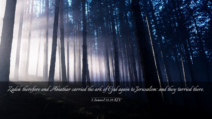 Picture 03 - 2 Samuel 15:29 KJV Desktop Wallpaper - Zadok therefore and Abiathar carried the ark of - Desktop Bible Verse Wallpaper