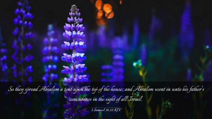 Picture 03 - 2 Samuel 16:22 KJV Desktop Wallpaper - So they spread Absalom a tent upon the top of the - Desktop Bible Verse Wallpaper