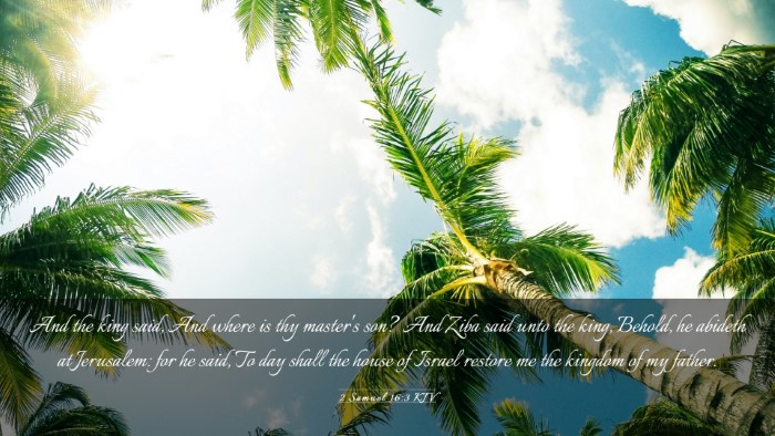 Picture 03 - 2 Samuel 16:3 KJV Desktop Wallpaper - And the king said, And where is thy master's son? - Desktop Bible Verse Wallpaper