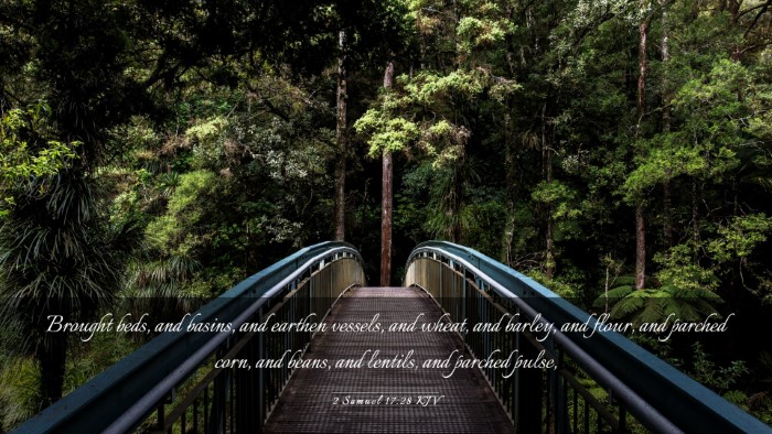 Picture 03 - 2 Samuel 17:28 KJV Desktop Wallpaper - Brought beds, and basins, and earthen vessels, - Desktop Bible Verse Wallpaper
