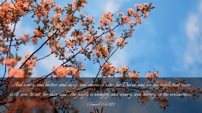 Picture 03 - 2 Samuel 17:29 KJV Desktop Wallpaper - And honey, and butter, and sheep, and cheese of - Desktop Bible Verse Wallpaper