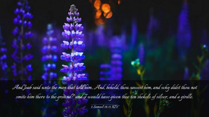 Picture 03 - 2 Samuel 18:11 KJV Desktop Wallpaper - And Joab said unto the man that told him, And, - Desktop Bible Verse Wallpaper