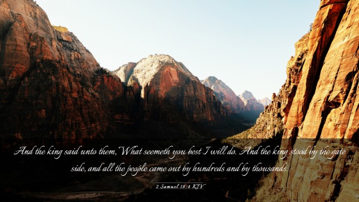 Picture 03 - 2 Samuel 18:4 KJV Desktop Wallpaper - And the king said unto them, What seemeth you - Desktop Bible Verse Wallpaper