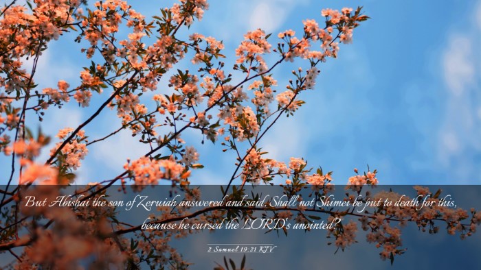 Picture 03 - 2 Samuel 19:21 KJV Desktop Wallpaper - But Abishai the son of Zeruiah answered and said, - Desktop Bible Verse Wallpaper