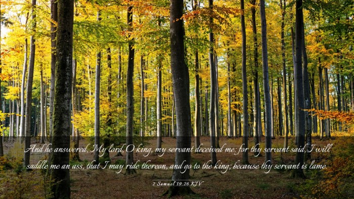 Picture 03 - 2 Samuel 19:26 KJV Desktop Wallpaper - And he answered, My lord, O king, my servant - Desktop Bible Verse Wallpaper