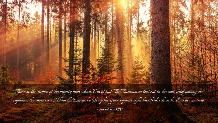 Picture 03 - 2 Samuel 23:8 KJV Desktop Wallpaper - These be the names of the mighty men whom David - Desktop Bible Verse Wallpaper