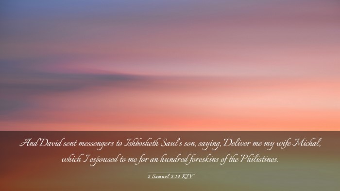 Picture 03 - 2 Samuel 3:14 KJV Desktop Wallpaper - And David sent messengers to Ishbosheth Saul's - Desktop Bible Verse Wallpaper