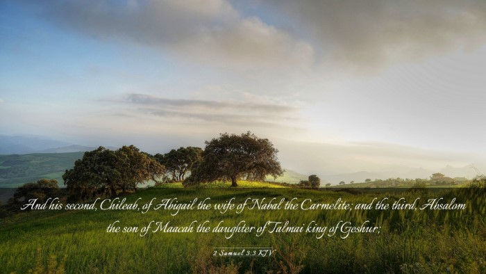 Picture 03 - 2 Samuel 3:3 KJV Desktop Wallpaper - And his second, Chileab, of Abigail the wife of - Desktop Bible Verse Wallpaper
