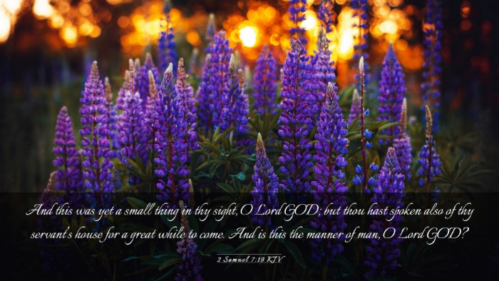 Picture 03 - 2 Samuel 7:19 KJV Desktop Wallpaper - And this was yet a small thing in thy sight, O - Desktop Bible Verse Wallpaper
