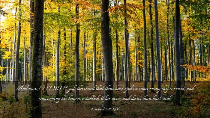 Picture 03 - 2 Samuel 7:25 KJV Desktop Wallpaper - And now, O LORD God, the word that thou hast - Desktop Bible Verse Wallpaper