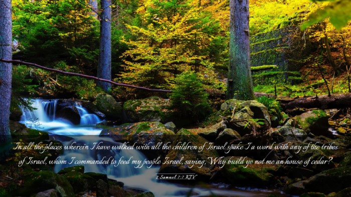 Picture 03 - 2 Samuel 7:7 KJV Desktop Wallpaper - In all the places wherein I have walked with all - Desktop Bible Verse Wallpaper