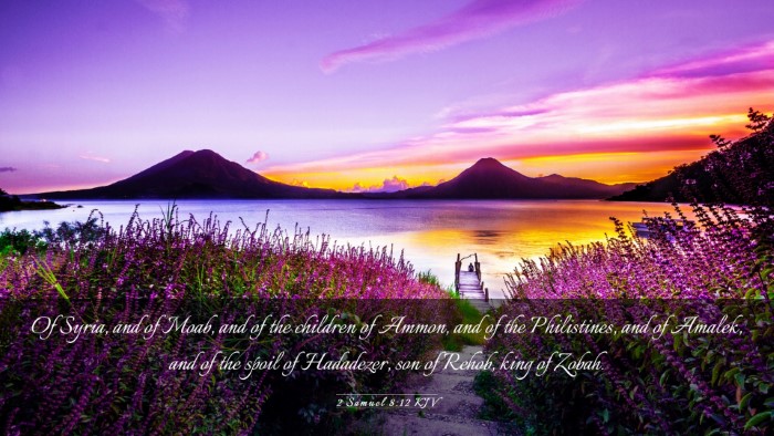 Picture 03 - 2 Samuel 8:12 KJV Desktop Wallpaper - Of Syria, and of Moab, and of the children of - Desktop Bible Verse Wallpaper