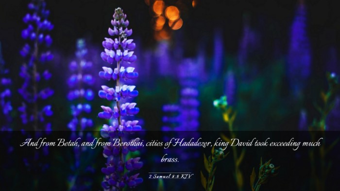 Picture 03 - 2 Samuel 8:8 KJV Desktop Wallpaper - And from Betah, and from Berothai, cities of - Desktop Bible Verse Wallpaper