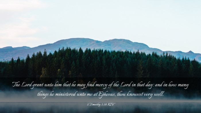 Picture 03 - 2 Timothy 1:18 KJV Desktop Wallpaper - The Lord grant unto him that he may find mercy of - Desktop Bible Verse Wallpaper