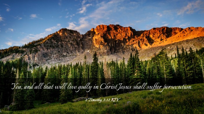 Picture 03 - 2 Timothy 3:12 KJV Desktop Wallpaper - Yea, and all that will live godly in Christ Jesus - Desktop Bible Verse Wallpaper