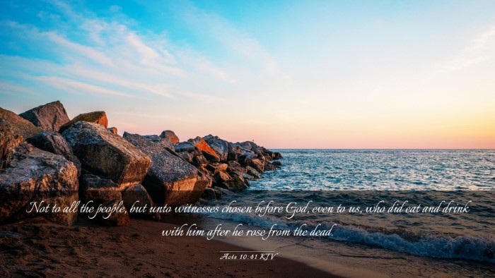 Picture 03 - Acts 10:41 KJV Desktop Wallpaper - Not to all the people, but unto witnesses chosen - Desktop Bible Verse Wallpaper