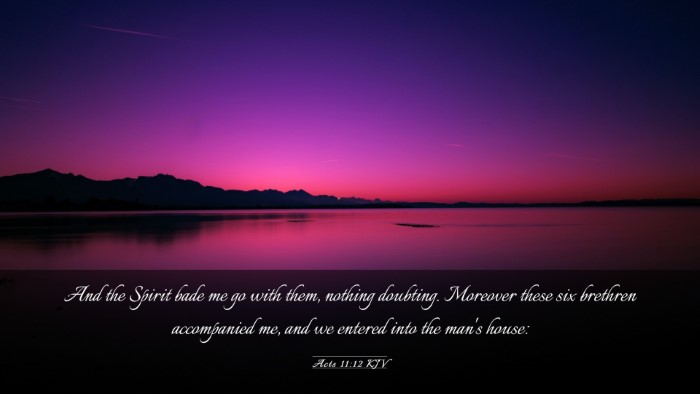 Picture 03 - Acts 11:12 KJV Desktop Wallpaper - And the Spirit bade me go with them, nothing - Desktop Bible Verse Wallpaper