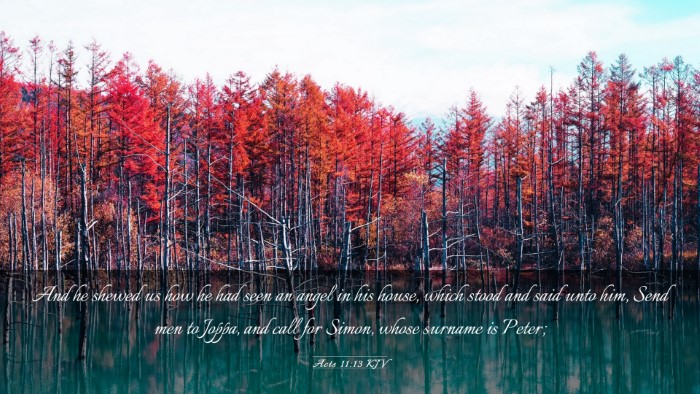 Picture 03 - Acts 11:13 KJV Desktop Wallpaper - And he shewed us how he had seen an angel in his - Desktop Bible Verse Wallpaper