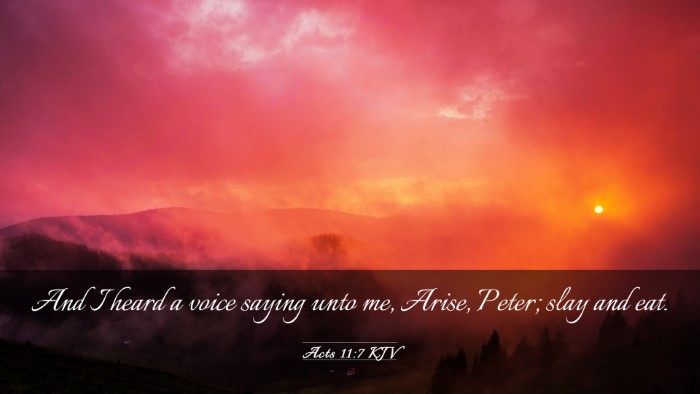 Picture 03 - Acts 11:7 KJV Desktop Wallpaper - And I heard a voice saying unto me, Arise, Peter; - Desktop Bible Verse Wallpaper