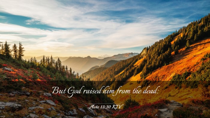 Picture 03 - Acts 13:30 KJV Desktop Wallpaper - But God raised him from the - Desktop Bible Verse Wallpaper