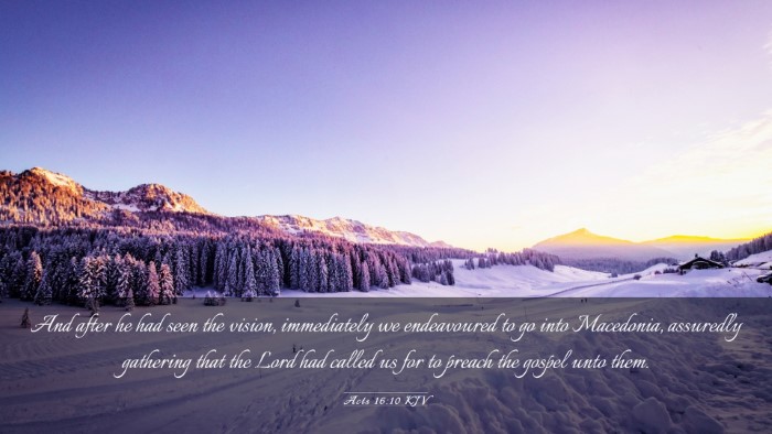 Picture 03 - Acts 16:10 KJV Desktop Wallpaper - And after he had seen the vision, immediately we - Desktop Bible Verse Wallpaper