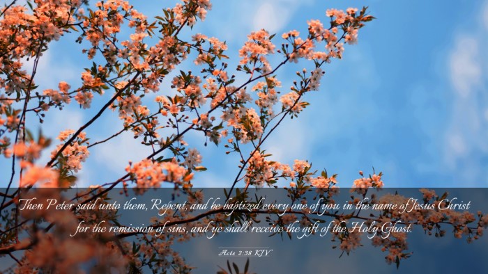 Picture 03 - Acts 2:38 KJV Desktop Wallpaper - Then Peter said unto them, Repent, and be - Desktop Bible Verse Wallpaper