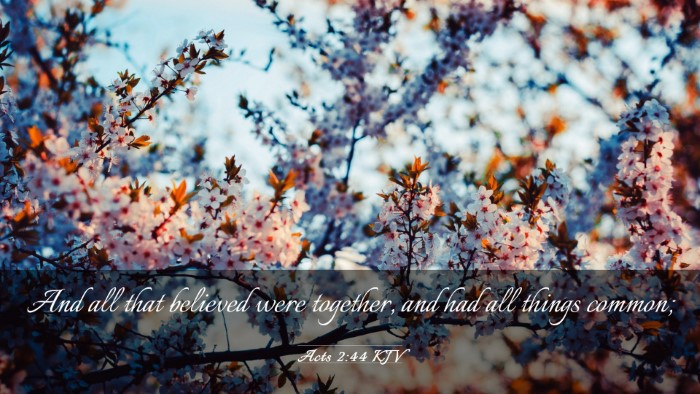 Picture 03 - Acts 2:44 KJV Desktop Wallpaper - And all that believed were together, and had all - Desktop Bible Verse Wallpaper
