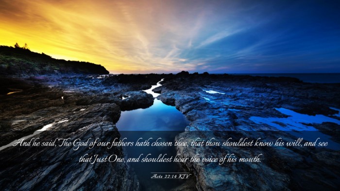 Picture 03 - Acts 22:14 KJV Desktop Wallpaper - And he said, The God of our fathers hath chosen - Desktop Bible Verse Wallpaper