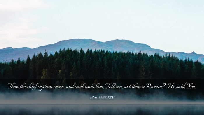 Picture 03 - Acts 22:27 KJV Desktop Wallpaper - Then the chief captain came, and said unto him, - Desktop Bible Verse Wallpaper