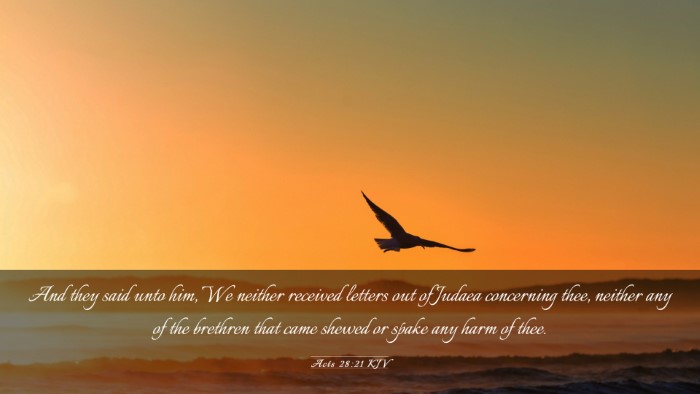 Picture 03 - Acts 28:21 KJV Desktop Wallpaper - And they said unto him, We neither received - Desktop Bible Verse Wallpaper