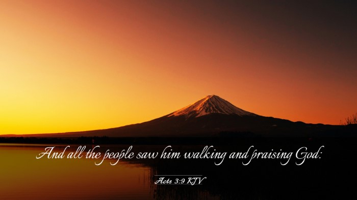 Picture 03 - Acts 3:9 KJV Desktop Wallpaper - And all the people saw him walking and praising - Desktop Bible Verse Wallpaper