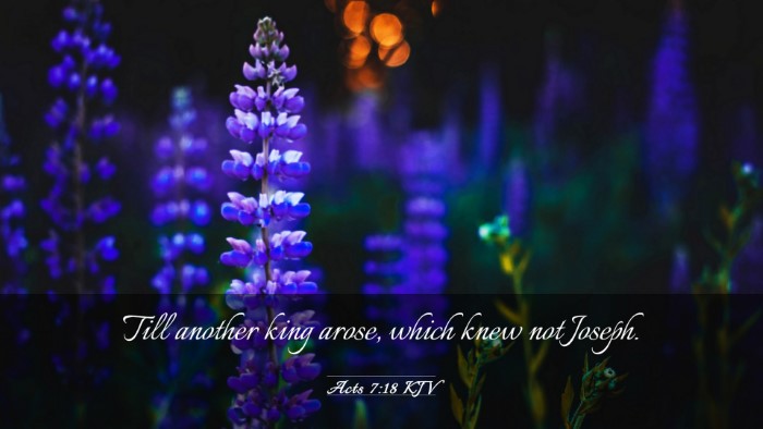 Picture 03 - Acts 7:18 KJV Desktop Wallpaper - Till another king arose, which knew not - Desktop Bible Verse Wallpaper