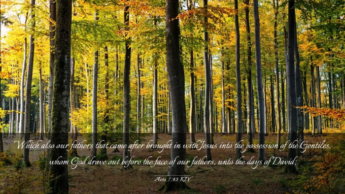 Picture 03 - Acts 7:45 KJV Desktop Wallpaper - Which also our fathers that came after brought in - Desktop Bible Verse Wallpaper