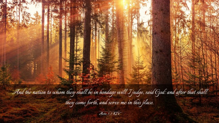 Picture 03 - Acts 7:7 KJV Desktop Wallpaper - And the nation to whom they shall be in bondage - Desktop Bible Verse Wallpaper