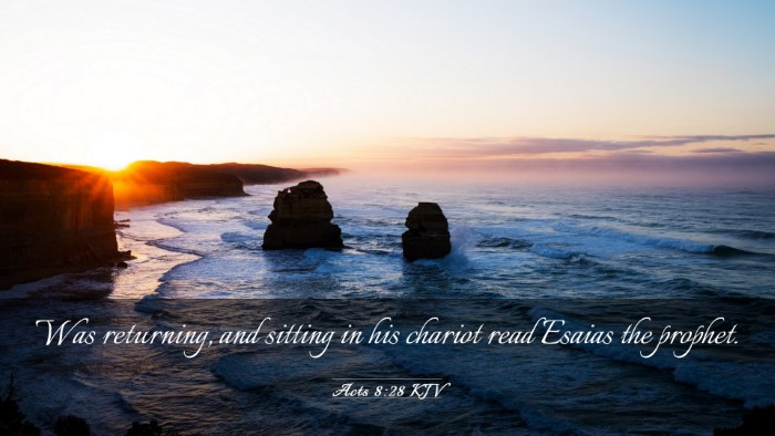 Picture 03 - Acts 8:28 KJV Desktop Wallpaper - Was returning, and sitting in his chariot read - Desktop Bible Verse Wallpaper