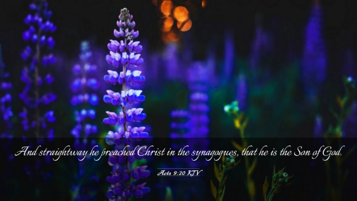 Picture 03 - Acts 9:20 KJV Desktop Wallpaper - And straightway he preached Christ in the - Desktop Bible Verse Wallpaper