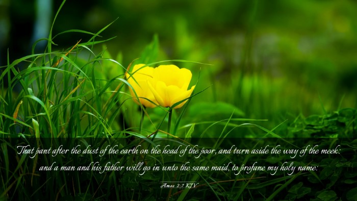 Picture 03 - Amos 2:7 KJV Desktop Wallpaper - That pant after the dust of the earth on the head - Desktop Bible Verse Wallpaper