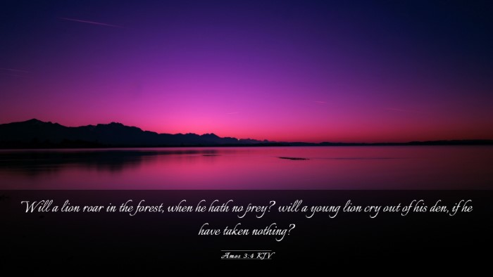 Picture 03 - Amos 3:4 KJV Desktop Wallpaper - Will a lion roar in the forest, when he hath no - Desktop Bible Verse Wallpaper