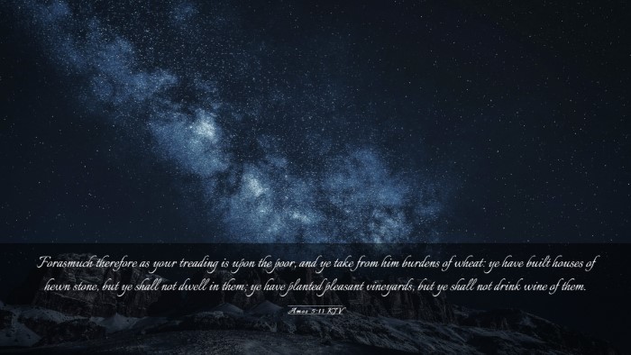 Picture 03 - Amos 5:11 KJV Desktop Wallpaper - Forasmuch therefore as your treading is upon the - Desktop Bible Verse Wallpaper