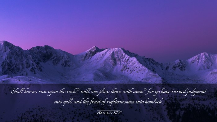Picture 03 - Amos 6:12 KJV Desktop Wallpaper - Shall horses run upon the rock? will one plow - Desktop Bible Verse Wallpaper