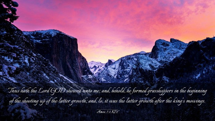 Picture 03 - Amos 7:1 KJV Desktop Wallpaper - Thus hath the Lord GOD shewed unto me; and, - Desktop Bible Verse Wallpaper
